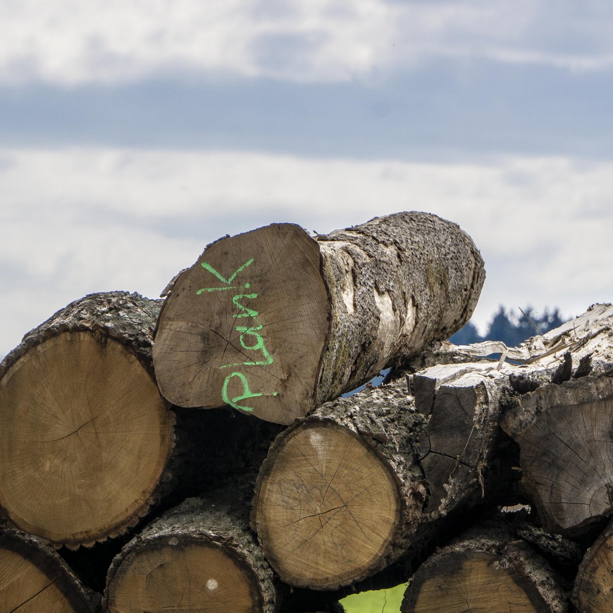 bilder_april_2019_a6_03.jpg